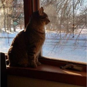 Meet your Posher, Silver